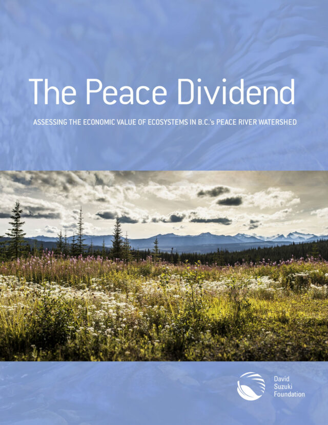 The Peace Dividend: Assessing the Economic Value of Ecosystems in B.C.’s Peace River Watershed The Peace Dividend: Assessing the Economic Value of Ecosystems in B.C.’s Peace River Watershed