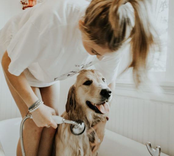 Woman washing her dog