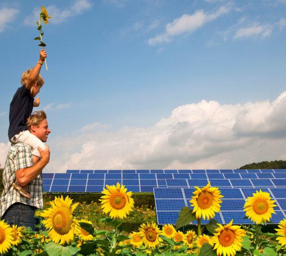 solar-panel-sunflowers-father-son Renewable energy solar panels