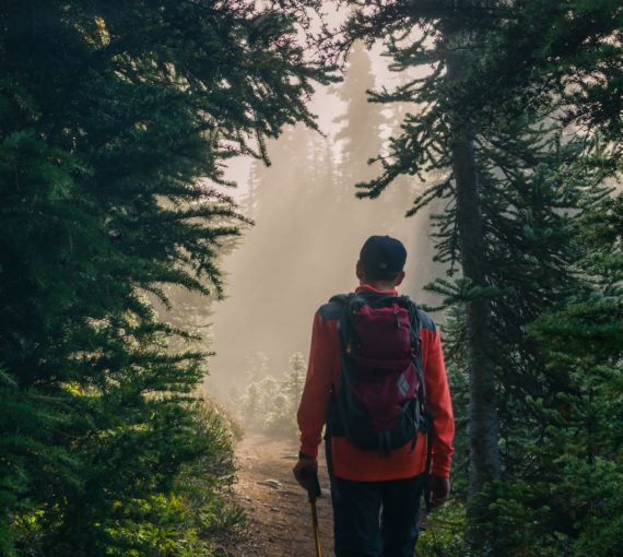 hiker forest
