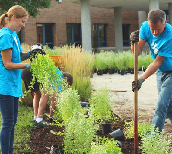 Neighbours gardening in their community
