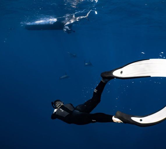 Diver swimming in blue ocean.