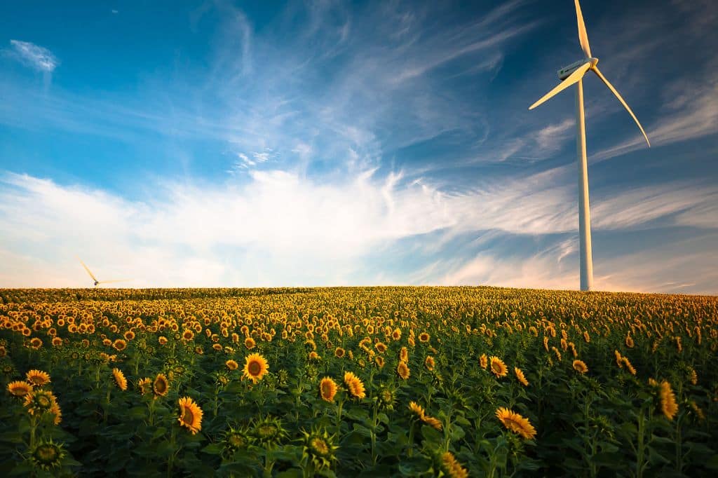 White wind turbine against a blue sky and field of sunflowers